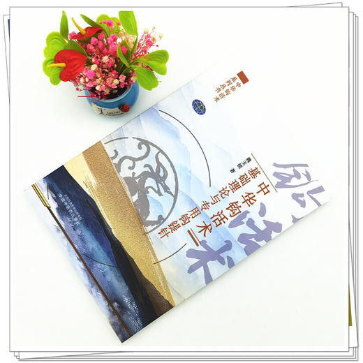 【出版社直销】中华钩活术基础理论与专用钩鍉针  魏玉锁 著  中国中医药出版社  中华钩活术系列丛书 商品图2