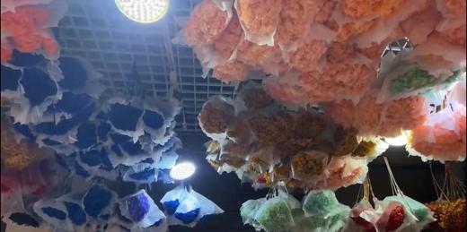 永生绣球 商品图1