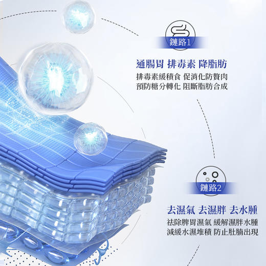 【美丽曲线，懒人福音】Diw香港医学研究院纤姿贴 每日一贴 轻松享受 不反弹 商品图3