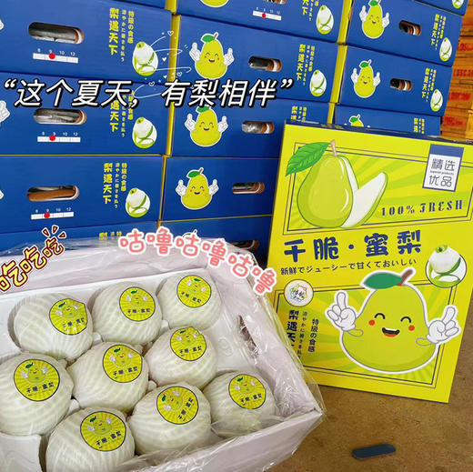 明五配送！千脆蜜梨，一口一脆，汁水充足，树上熟，一个夏季的好梨！5斤/箱 商品图2