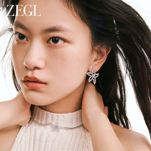 ZEGL设计师盛夏狂欢系列海星耳环女小众设计感高级耳钉银针耳饰品 商品图2