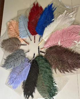 永生花--大蕨叶