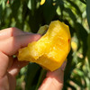 北京平谷黄金蜜桃  果肉细腻  甜糯汁水足  有特别的果香  黄桃 桃子  礼盒装 商品缩略图2