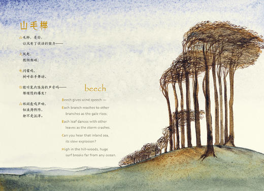 失落的咒语 商品图3