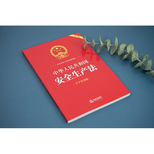 23年新书  中华人民共和国安全生产法（双色 大字实用版）  法律出版社中心编   团购咨询：010-8393 8384 商品图2