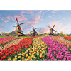 风车与郁金香拼图1000片 文创周边 Peter Pauper Press 英文原版 
Windmills and Tulips 1000 Piece Jigsaw Puzzle 商品缩略图0