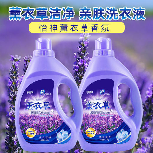 自营（泰利嘉）- 薰衣草洗衣液瓶装香味持久留香实惠家庭装 2瓶家庭装 到手10斤 商品图1