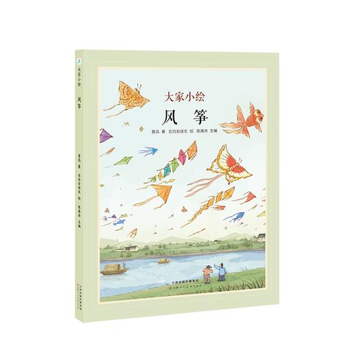 【童立方】大家小绘系列：风筝5-8亲子共读，8岁以上独立阅读 精装 商品图0