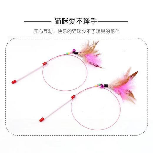 猫咪钢丝彩色羽毛逗猫棒5根/组 商品图3