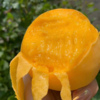 【蒙阴锦香蜜桃 4.5斤】| 来自中国蜜桃之都，硬着吃脆甜，软了吃淌汁儿，满足你对桃的所有想象 商品缩略图2