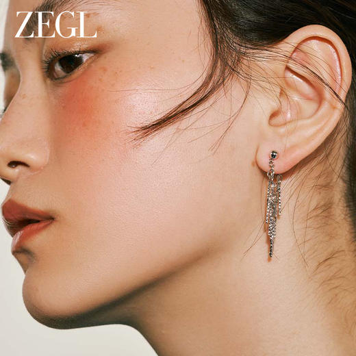 ZEGL金属瀑布流苏耳环女高级感轻奢耳钉法式气质名媛925银针耳饰 商品图4