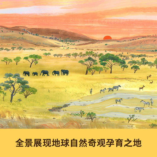 【筑桥】动物天堂之歌 塞伦盖蒂大草原 6岁+精装 儿童读物·科普百科  商品图3