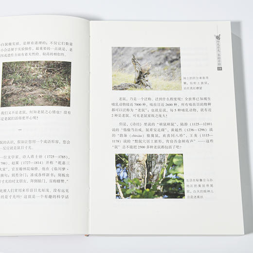 左一博士张劲硕首部个人科普文集 蹄兔非兔 象鼩非鼩  签名盖章两个版本 随机发送更有签名赠语盲盒 助记码：2099 商品图3