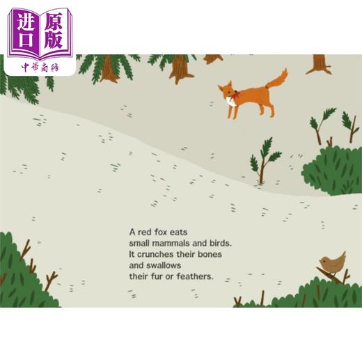 【中商原版】Whose poop is that? 那是谁的便便？英文原版精装儿童科普绘本 动物知识百科图画书 进口精品绘本儿童读物童书 商品图4