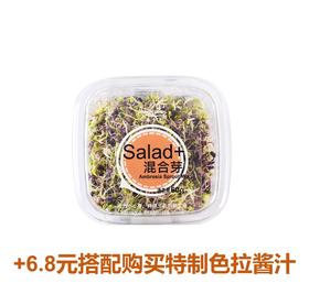 混合芽(紫甘蓝芽、西兰花芽) Red Cabbage Microgreens ＆ Broccoli Sprouts