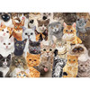 小猫拼图500片 文创周边 Peter Pauper Press 英文原版 
All the Cats 500 Piece Jigsaw Puzzle 商品缩略图0