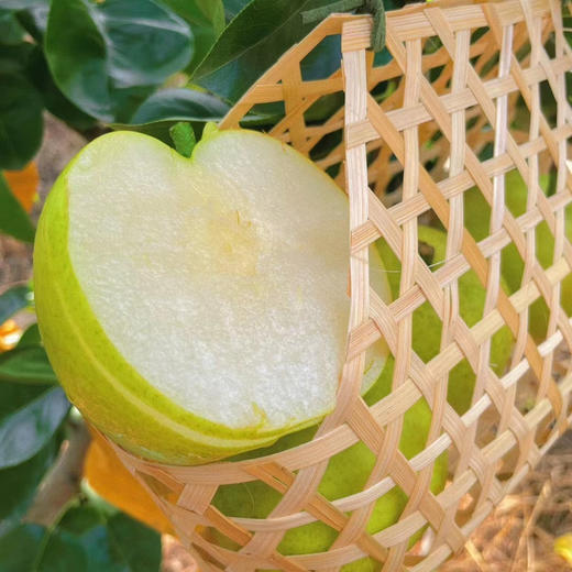 明五配送！千脆蜜梨，一口一脆，汁水充足，树上熟，一个夏季的好梨！5斤/箱 商品图0