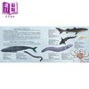 【中商原版】Whale Fall: Exploring an Ocean-Floor Ecosystem 鲸落：发现海洋的生态 英文原版精装儿童科普绘本知识百科图书 商品缩略图3