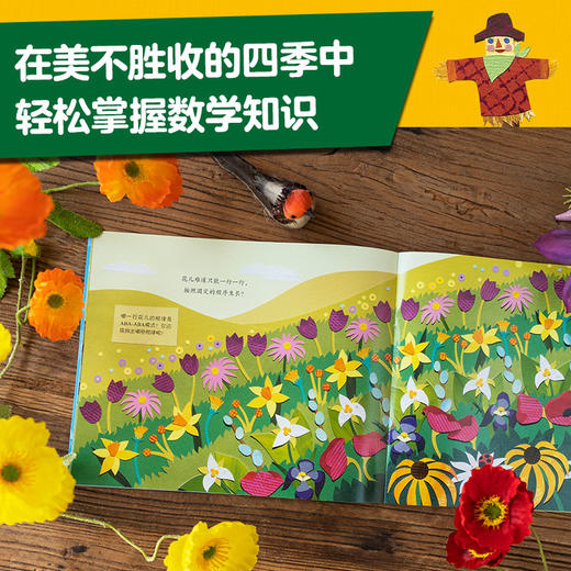大自然中的数学(全4册) 商品图2