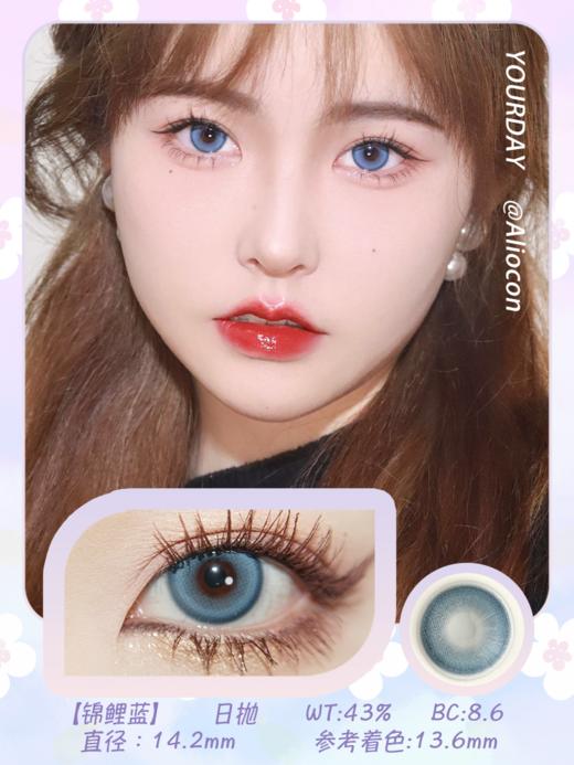 *Darrens Yourday锦鲤蓝 14.2mm【日抛|10片/盒】YO103 商品图1