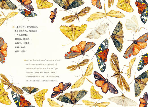 失落的咒语 商品图2