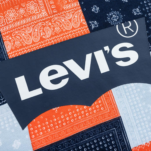 LEVIS 秋 大童小童 卫衣 LVN-FW-J603 商品图8