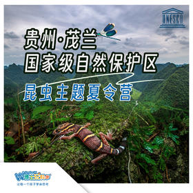 贵地博 I 茂兰国家级自然保护区 昆虫主题夏令营