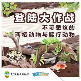不可思议的两栖动物与爬行动物