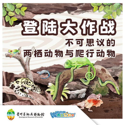 不可思议的两栖动物与爬行动物 商品图0