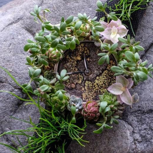 绿化腕表-亨利慕时今年的新复刻手表一比一手表n厂c厂clean厂vs厂 商品图1