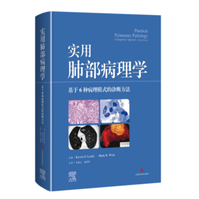 实用肺部病理学——  基于6种病理模式的诊断方法