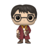 Funko POP! Harry Potter 电影 哈利波特药水瓶消失的密室20周年公仔手办摆件 65652 商品缩略图0
