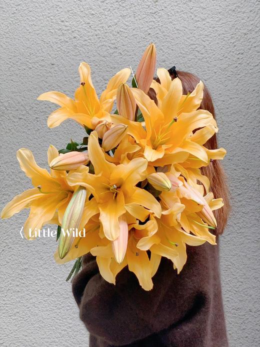 【AB级晚霞百合】3头3支9朵/份 商品图6