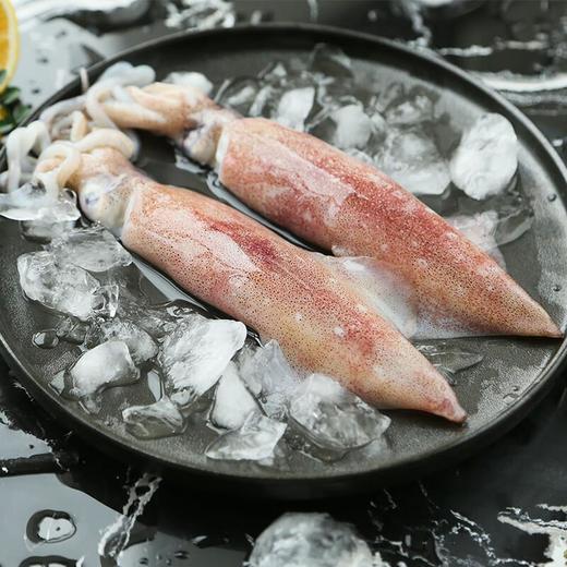 南澳特级灯光鱿400G 商品图0