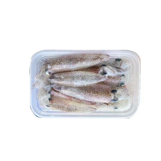 南澳特级灯光鱿400G 商品图1