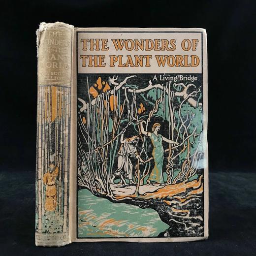 1918年 植物世界的奥妙 8幅插图 漆布精装32开 商品图0