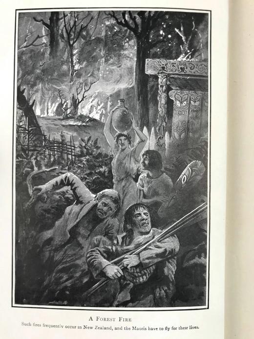 1918年 植物世界的奥妙 8幅插图 漆布精装32开 商品图2