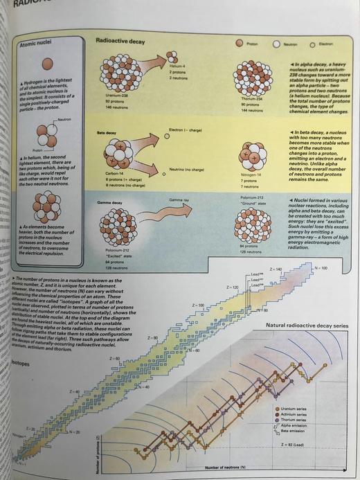 科学图解词典 34页插图 精装大16开 商品图7