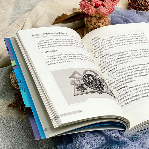 解构性变革 学校课程发展的突破口 特色课程建设 小学案例 李悦新 商品图6