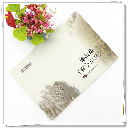 四圣心源研习录 边江红 吴兆卿 吴兆知 主编 中国中医药出版社 中医经典 临床 书籍 商品图2