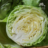 生态山西圆白菜（包菜） | 合作生产*Ecological Cabbage | Coproducted 商品缩略图6