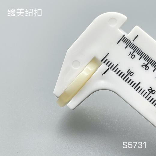 S5731(整包购买) 商品图5