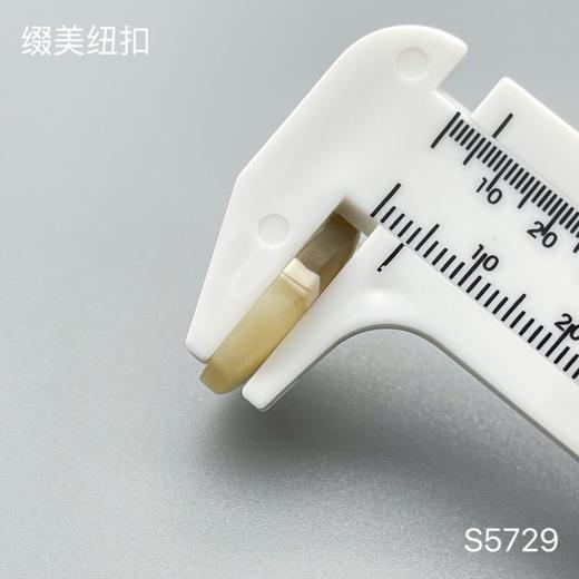 S5729(整包购买) 商品图4