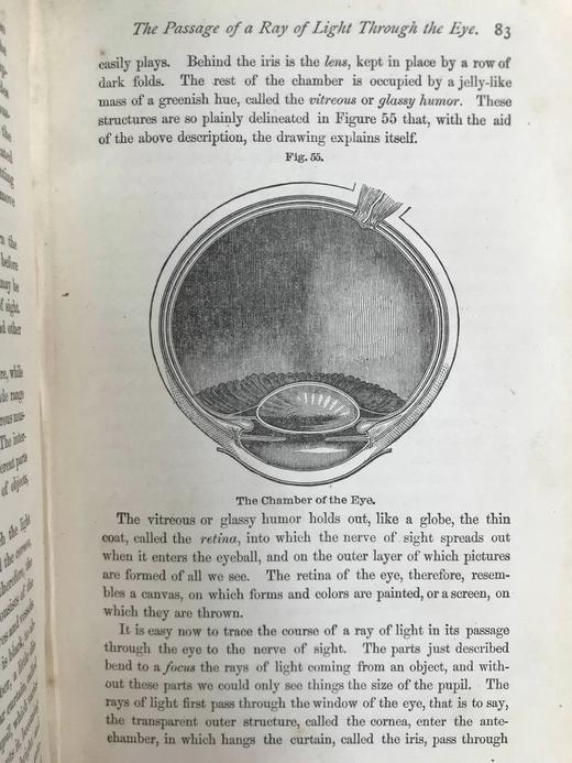 1883年大众医学手册 百余幅木版画插图 漆布精装32开 商品图4