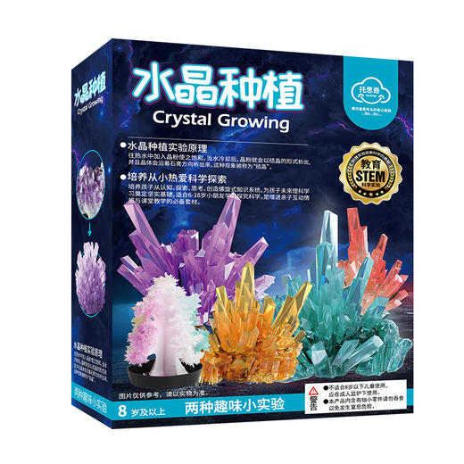 【科学小实验套装diy手工制作】水晶种植生长结晶，儿童玩具圣诞树亲子玩具 商品图4