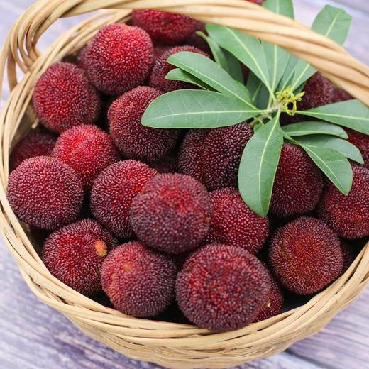 仙居东魁杨梅特级约1.8kg装(60颗) 商品图0