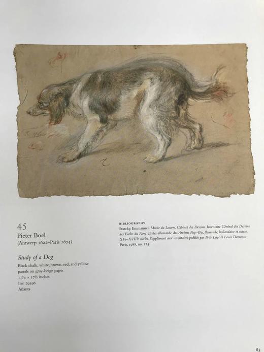 卢浮宫国王绘画图集 百余幅插图 精装16开 商品图9