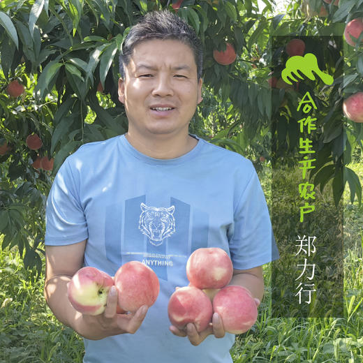 有机黄桃 | 合作生产 *Organic Yellow Peach | Coproduction 商品图1