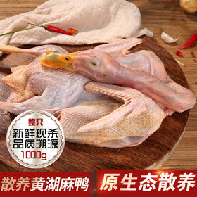壹号餐桌麻鸭1000g冻品～