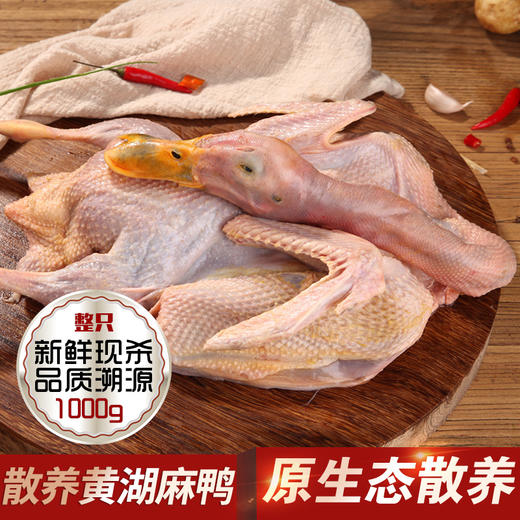 壹号餐桌麻鸭1000g冻品～ 商品图0